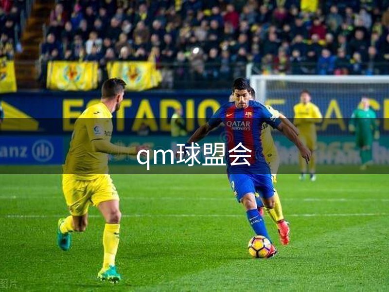 关于qm球盟会